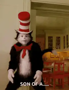 Cat in the Hat Son of A