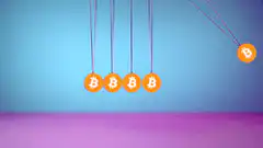 Bitcoin Newton's Cradle