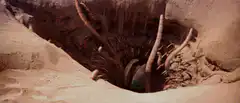 Tusks moving in a sandy pit
