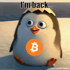 Penguin Bitcoin I'm Back