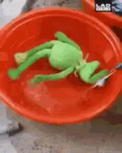 Green plush toy in red bowl