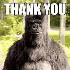Gorilla giving thumbs up with Bitcoin and Dogecoin