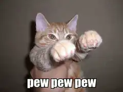 pew pew pew cat
