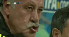Vicente del Bosque winking