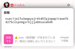 nsec secret key warning