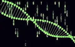 Green DNA double helix with floating letters