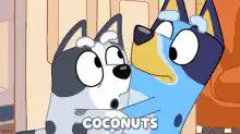 Bluey and Bingo say coconuts water them