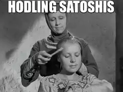 Hodling Satoshis Meme