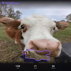 Cow face puzzle game