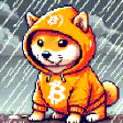 Shiba Inu in Bitcoin hoodie