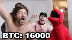 Elmo reacts to Bitcoin price