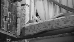 Audrey Hepburn peeking over a shelf