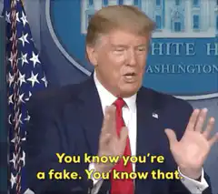 Donald Trump You Know You're a Fake
