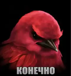 Angry Red Bird Meme