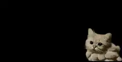 Fluffy cat expanding into a cloud