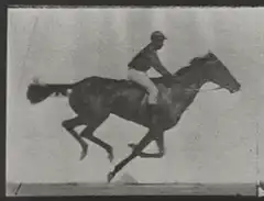 Vintage horse and jockey galloping