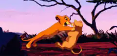 Simba and Nala wrestling playfully