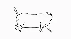 Simple line drawing of a cat walking