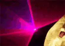 Cat laser eyes rock