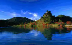 Lake and forest reflection