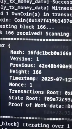 Bitcoin mining terminal output