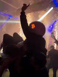 Person on shoulders with Bitcoin hat at concert