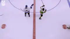 Hockey players fight and fall