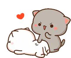 kitten hugging another kitten