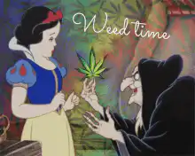 Snow White Weed Time