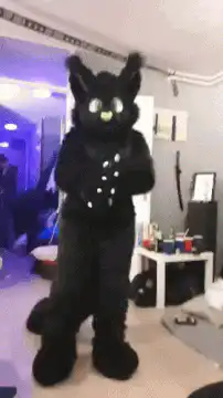black cat fursuit dancing