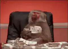 Monkey laughing with money