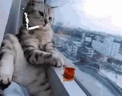 smoking cat with tea