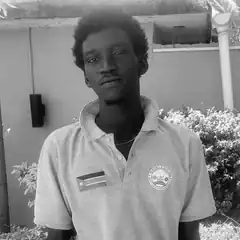 Man in polo shirt with flag patch