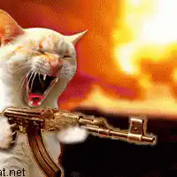 cat with gun yelling