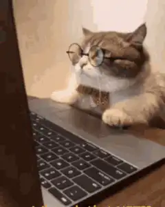 Cat with glasses and bowtie looking at laptop