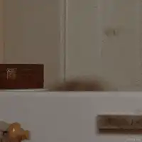 Woman with face mask says hello