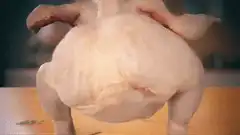 Raw chicken doing squats