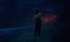 Woman on beach watching red sky