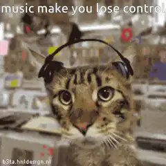 cat with headphones music make you lose control