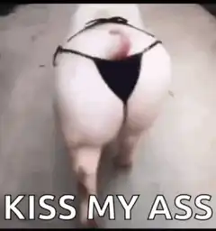 Pig in bikini walking away
