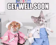Cat Doctor and Nurse Get Well Soon