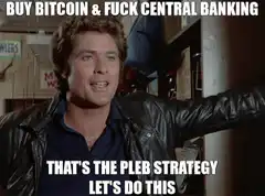 David Hasselhoff and Catherine Bach agree on bitcoin