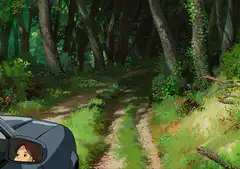 Car driving down a forest path