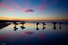 Surfers walking on wet sand at sunset