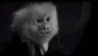 Monkey in suit says you can burn in hell
