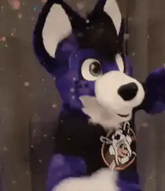 Purple wolf fursuit waving