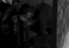 couple kissing on couch