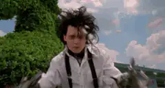 Edward Scissorhands scissor hands
