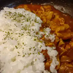 rice and curry close-up