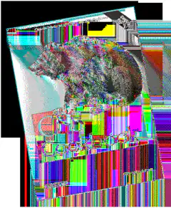 Glitchy bear on a book cover